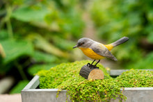 Load image into Gallery viewer, Hand Carved DecoBird Eastern Yellow Robin